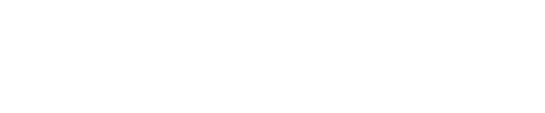 The N2 Company logo